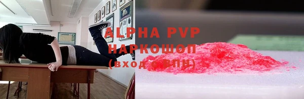 крисы Алексин