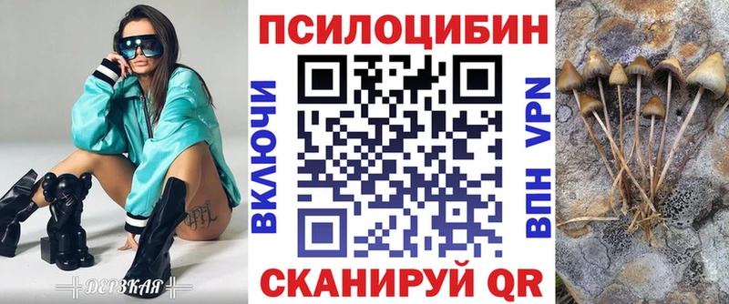 Псилоцибиновые грибы Cubensis Беслан